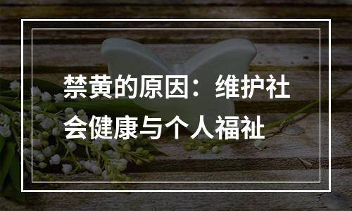 禁黄的原因：维护社会健康与个人福祉