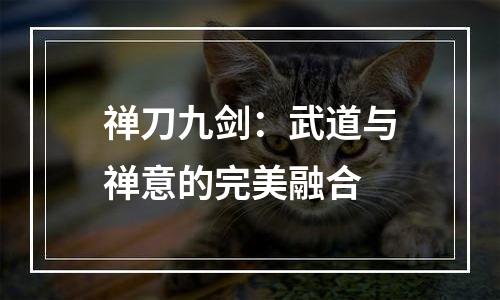 禅刀九剑：武道与禅意的完美融合