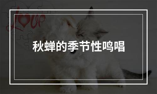 秋蝉的季节性鸣唱