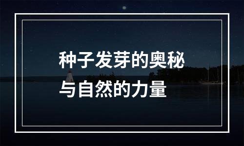 种子发芽的奥秘与自然的力量