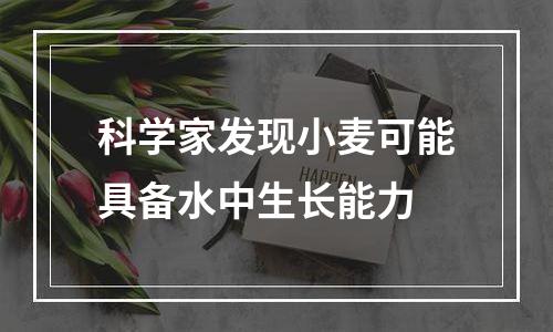 科学家发现小麦可能具备水中生长能力