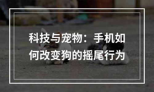 科技与宠物：手机如何改变狗的摇尾行为