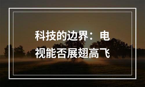 科技的边界：电视能否展翅高飞