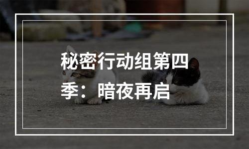 秘密行动组第四季：暗夜再启