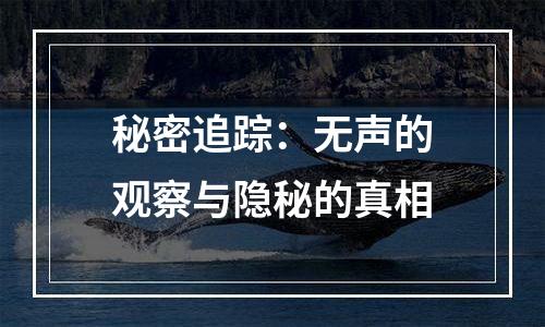 秘密追踪：无声的观察与隐秘的真相