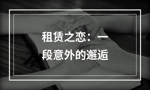 租赁之恋：一段意外的邂逅