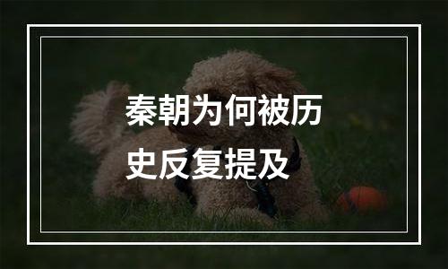 秦朝为何被历史反复提及