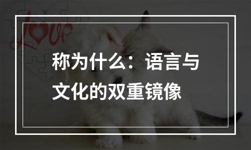 称为什么：语言与文化的双重镜像