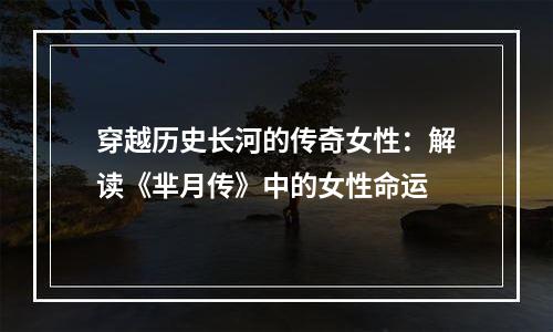穿越历史长河的传奇女性：解读《芈月传》中的女性命运