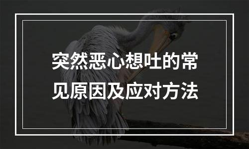 突然恶心想吐的常见原因及应对方法