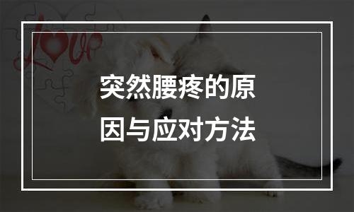 突然腰疼的原因与应对方法