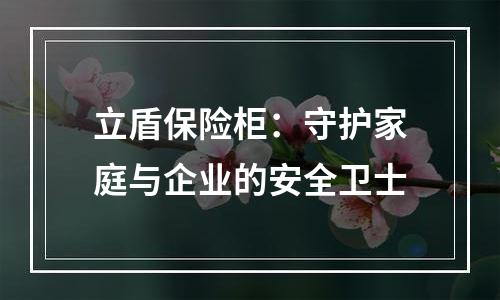 立盾保险柜：守护家庭与企业的安全卫士
