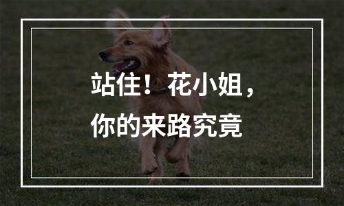 站住！花小姐，你的来路究竟