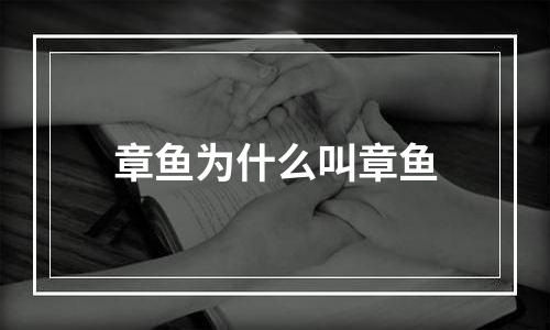 章鱼为什么叫章鱼