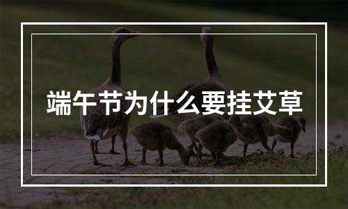 端午节为什么要挂艾草