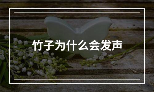 竹子为什么会发声