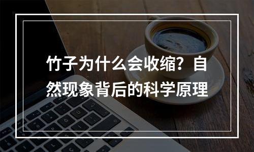 竹子为什么会收缩？自然现象背后的科学原理
