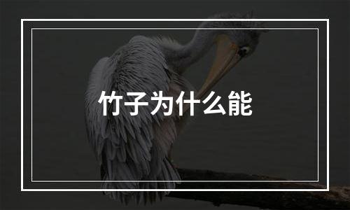 竹子为什么能