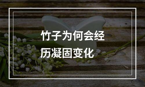 竹子为何会经历凝固变化