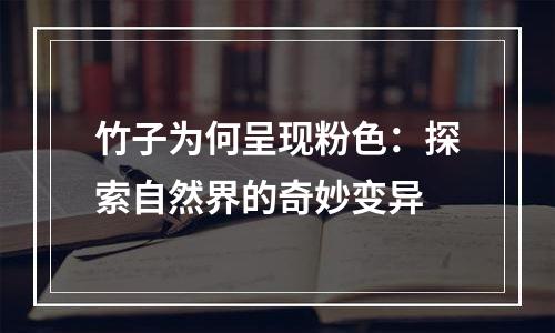 竹子为何呈现粉色：探索自然界的奇妙变异