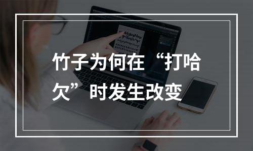 竹子为何在“打哈欠”时发生改变