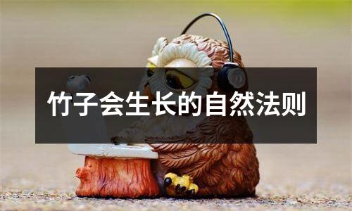 竹子会生长的自然法则