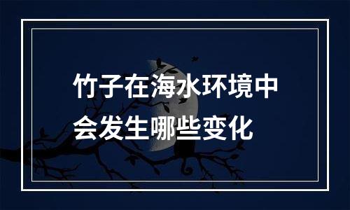 竹子在海水环境中会发生哪些变化