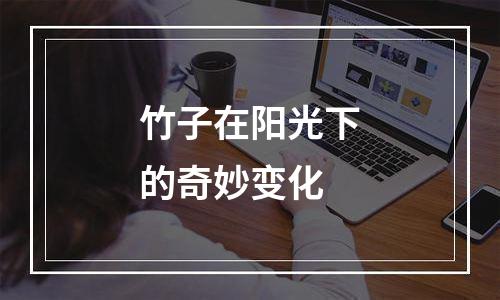 竹子在阳光下的奇妙变化