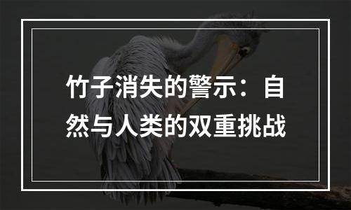 竹子消失的警示：自然与人类的双重挑战