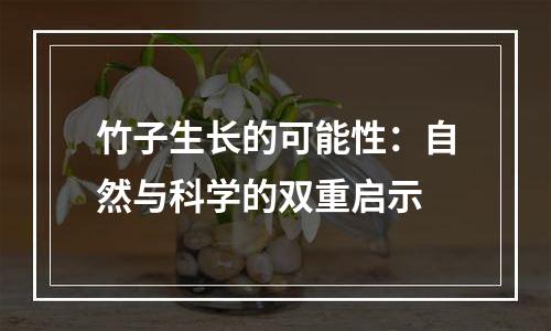 竹子生长的可能性：自然与科学的双重启示