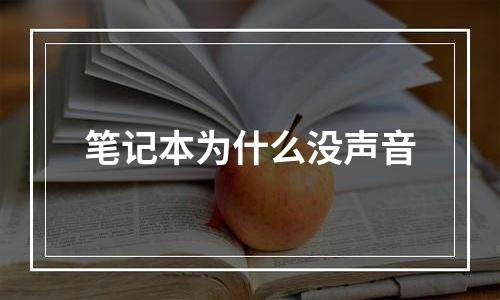 笔记本为什么没声音