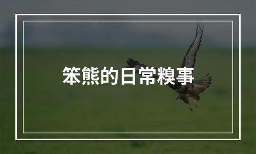 笨熊的日常糗事