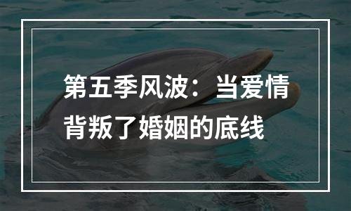第五季风波：当爱情背叛了婚姻的底线