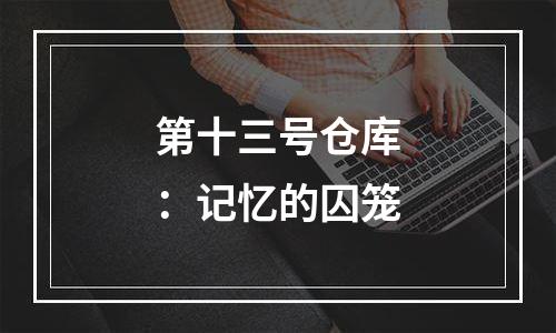 第十三号仓库：记忆的囚笼
