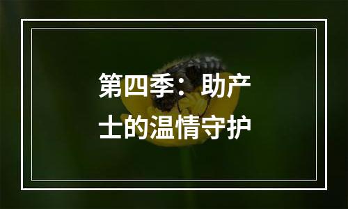 第四季：助产士的温情守护