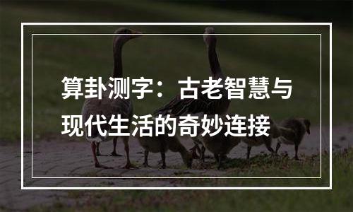 算卦测字：古老智慧与现代生活的奇妙连接