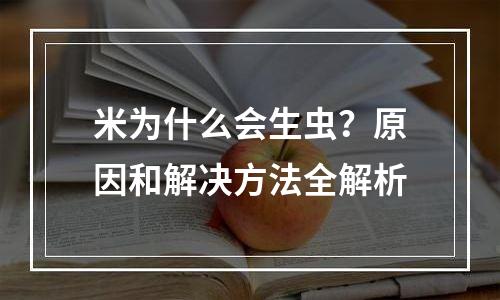 米为什么会生虫？原因和解决方法全解析