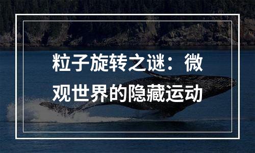 粒子旋转之谜：微观世界的隐藏运动