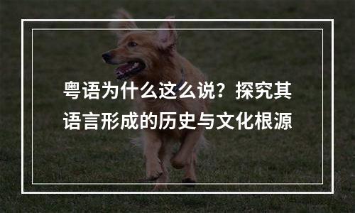 粤语为什么这么说？探究其语言形成的历史与文化根源