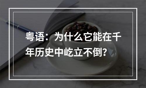 粤语：为什么它能在千年历史中屹立不倒？