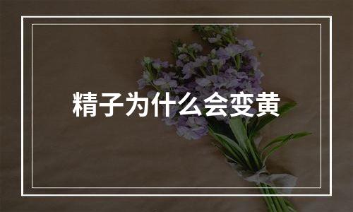 精子为什么会变黄