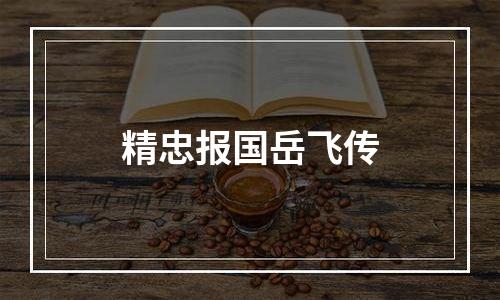 精忠报国岳飞传