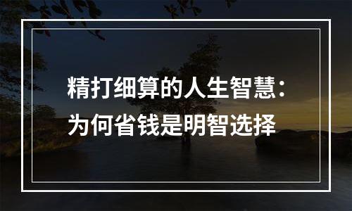 精打细算的人生智慧：为何省钱是明智选择