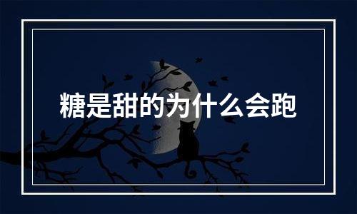 糖是甜的为什么会跑