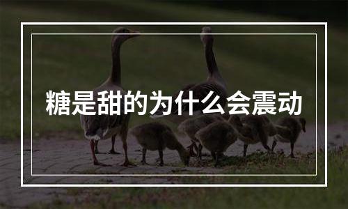 糖是甜的为什么会震动