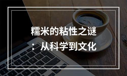 糯米的粘性之谜：从科学到文化