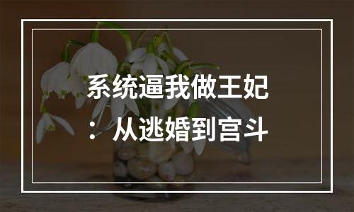 系统逼我做王妃：从逃婚到宫斗