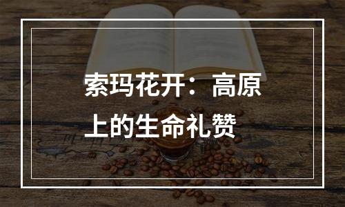 索玛花开：高原上的生命礼赞