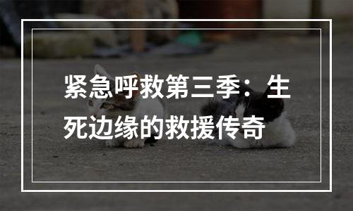 紧急呼救第三季：生死边缘的救援传奇