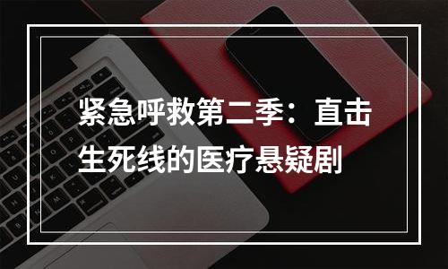 紧急呼救第二季：直击生死线的医疗悬疑剧